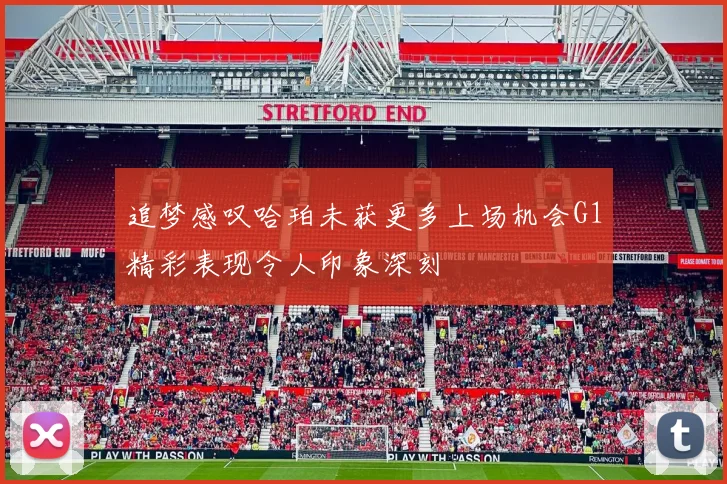 追梦感叹哈珀未获更多上场机会G1精彩表现令人印象深刻