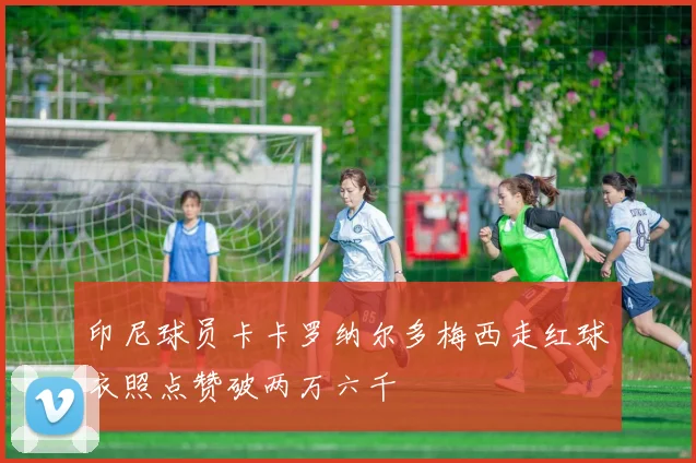 印尼球员卡卡罗纳尔多梅西走红球衣照点赞破两万六千