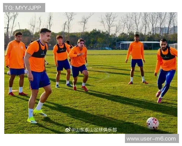 鲁媒报道德尔加多等外租球员回归泰山队国字号球员缺席冬训首阶段